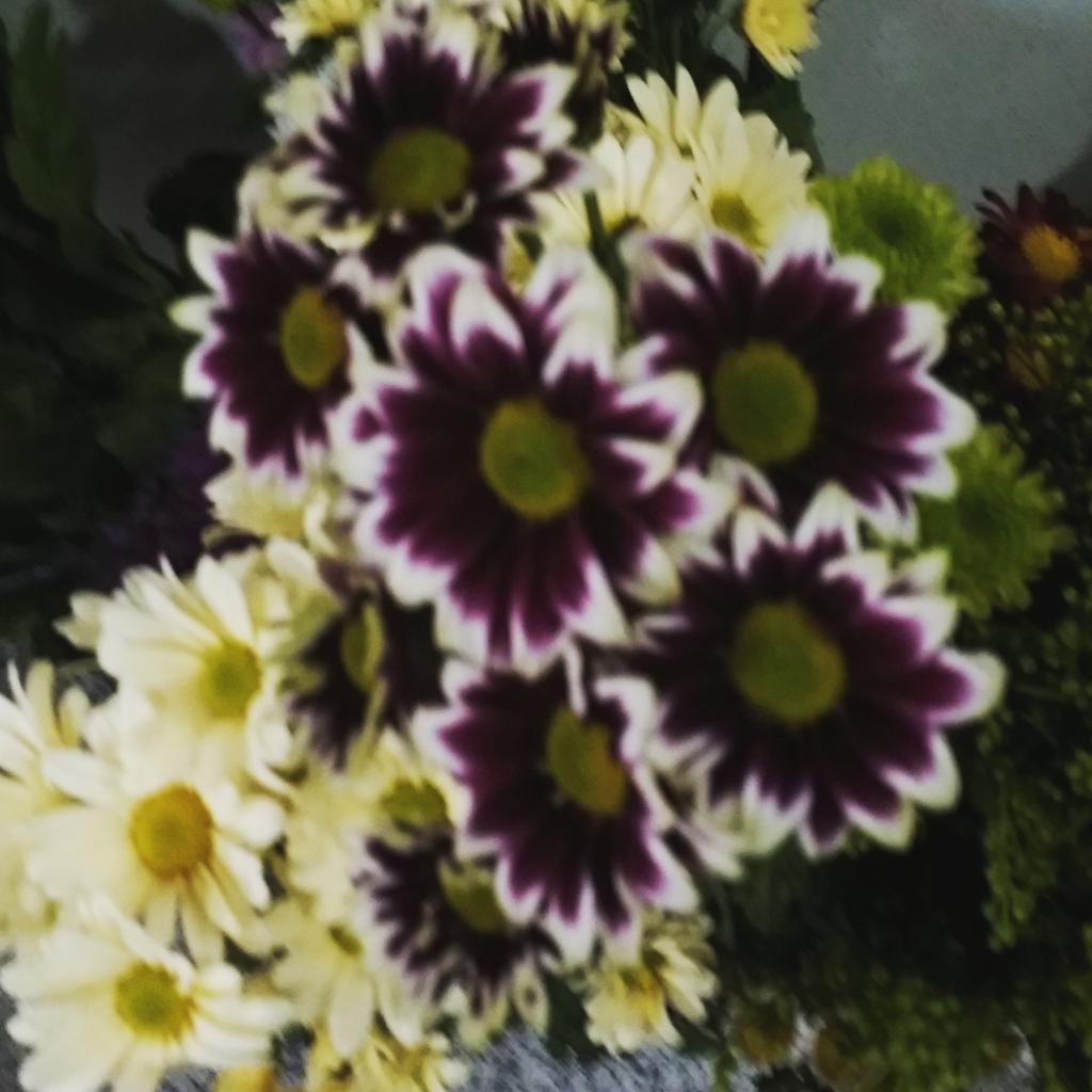 국화향기에 취하다