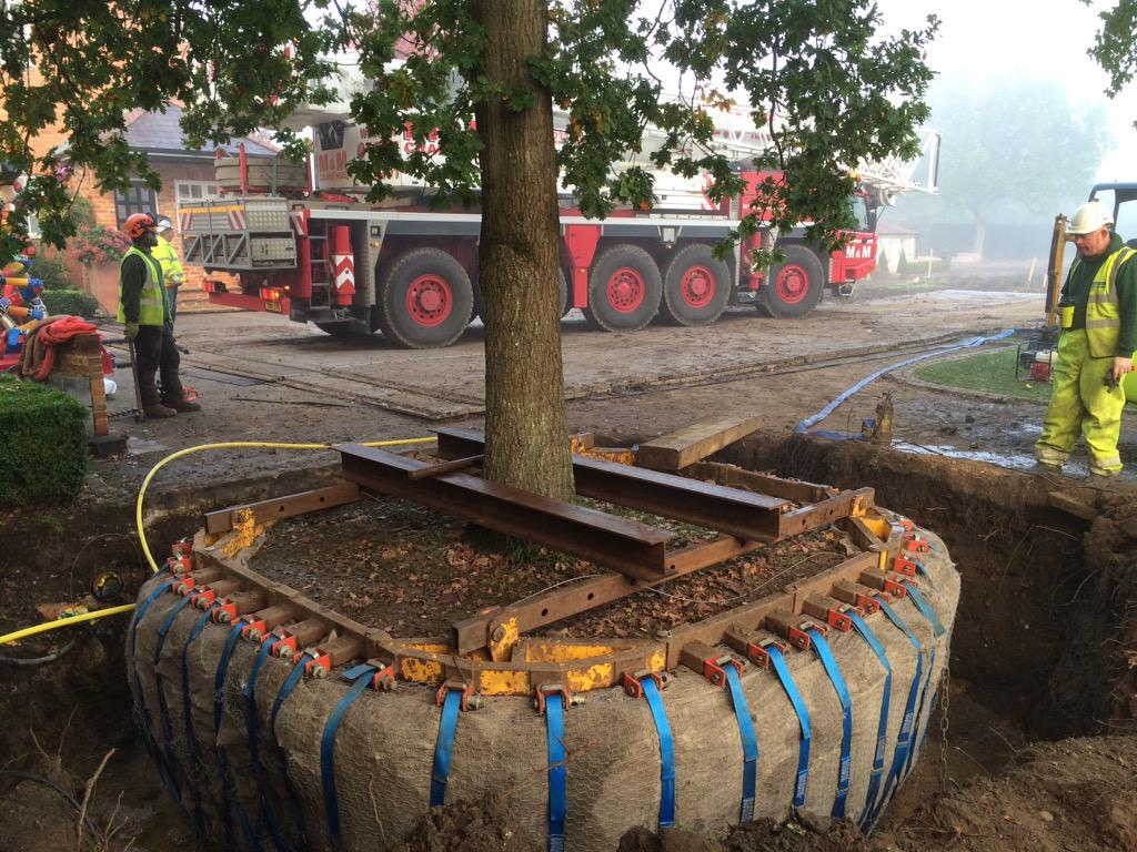 BIG LIFT today after the cracking prep by <a href="/civictrees/">Civic Trees</a> #movingtrees #newhome