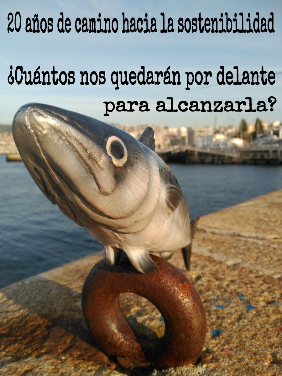 LuciaMPosse's tweet photo. El derecho a pescar lleva consigo la obligación de hacerlo de forma responsable #CFPreality #CodeConduct http://t.co/MK60CfmeNC
