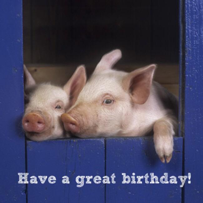 Happy birthday David Cameron 