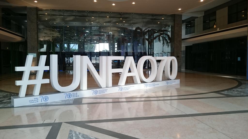 gaurisalokhe's tweet photo. All set for the #worldfoodweek! #IYS2015 #wfd2015 #unfao70 #sofa2014 http://t.co/dkBAqMpIlZ