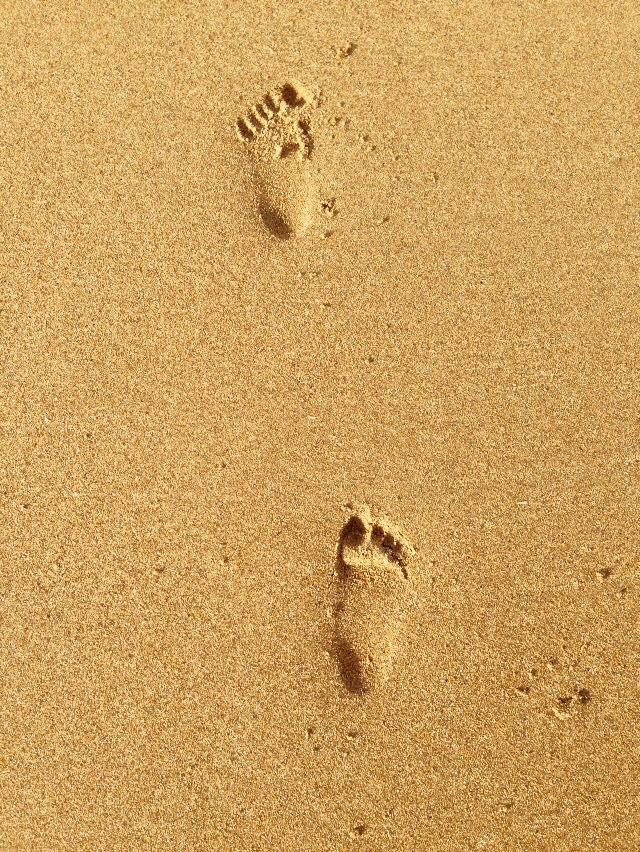 DornochBeach's tweet photo. Nice morning for a walk on the beach! #lovedornochbeach http://t.co/5DBl3ehPEH