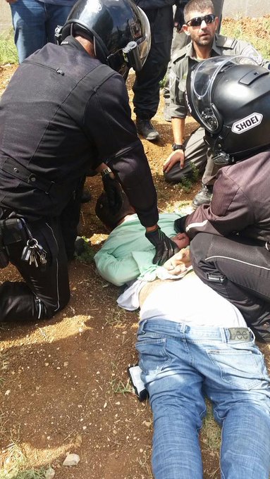 View image on Twitter