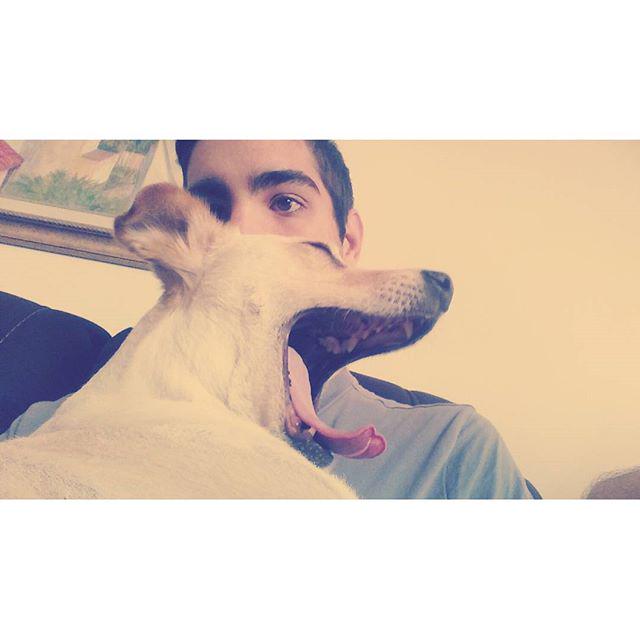 SelfiesFunny's tweet photo. Probably the funniest and best selfie I ever took  #instasize ... - http://t.co/J5SfrpFDh0
#selfie #lol #funny http://t.co/fHncf3BMti