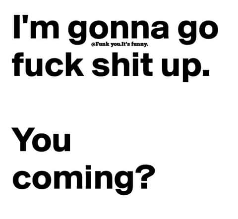 Findi282's tweet image. 