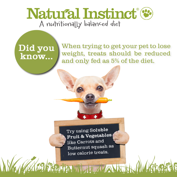 NIrawpetfoods's tweet photo. Having you been treating your #dog too much? Low calorie #treats exist and your dog will still go crazy for them 😉😉 http://t.co/ptyEJj8AoH