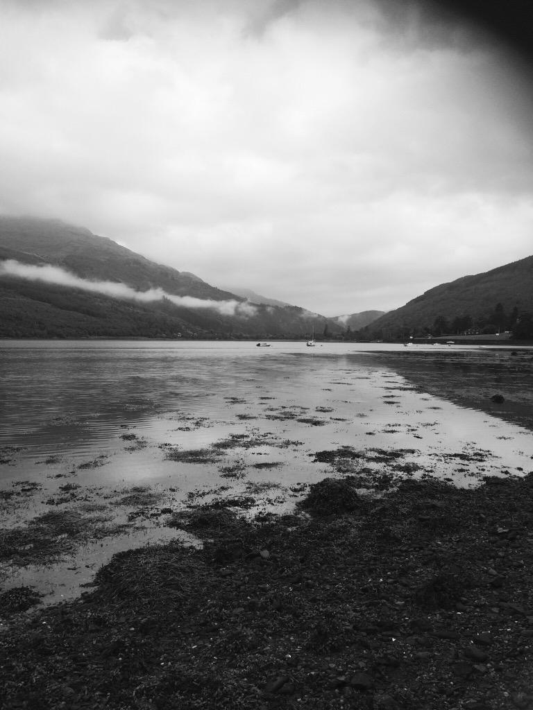 Tick Arty Boo tweet media