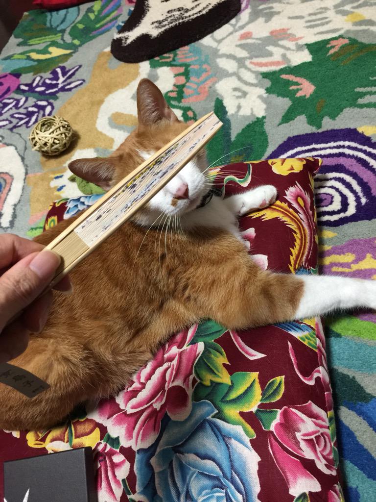 重要なお知らせ】初日完売の猫風神雷神の扇子、追加で受注受けること