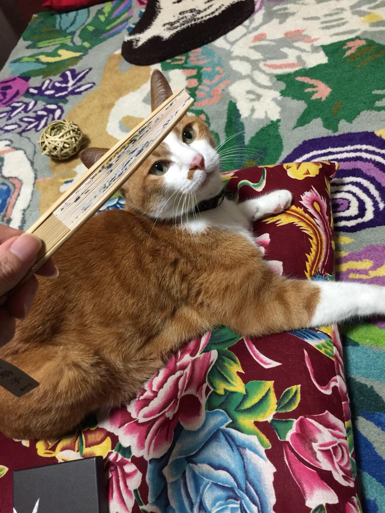 重要なお知らせ】初日完売の猫風神雷神の扇子、追加で受注受けること