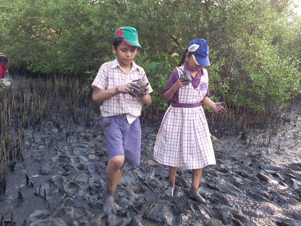#MangroveRestorationDrive today, part of #Vanshakti's mangrove/forest restoration launched on #WorldEnvironmentDay