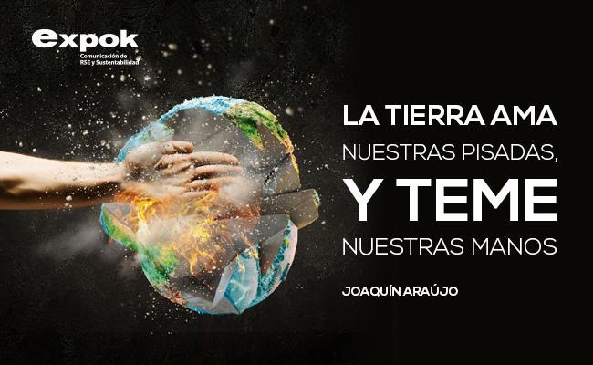 ClimateMarchPMA's tweet image. La tierra ama nuestras pisadas, y teme nuestras manos 🌎
