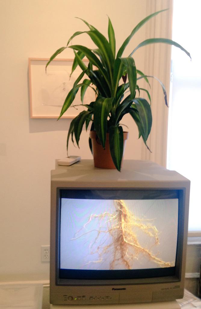 LatinoEvents's tweet image. Jonier Marín explores the purpose of art, the signs of presence, the experience of a viewer @hffanewyork #ActiveWork