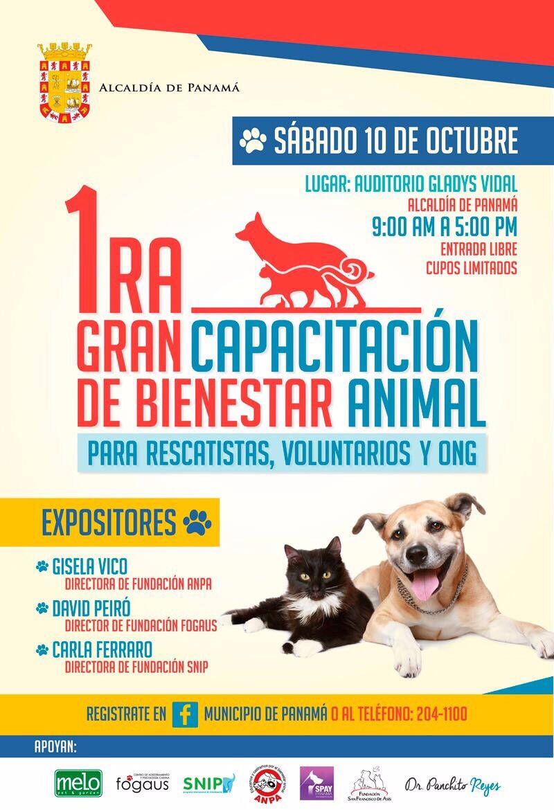 Fundación San Francisco de Asís ( FUNDASIS ) tweet media