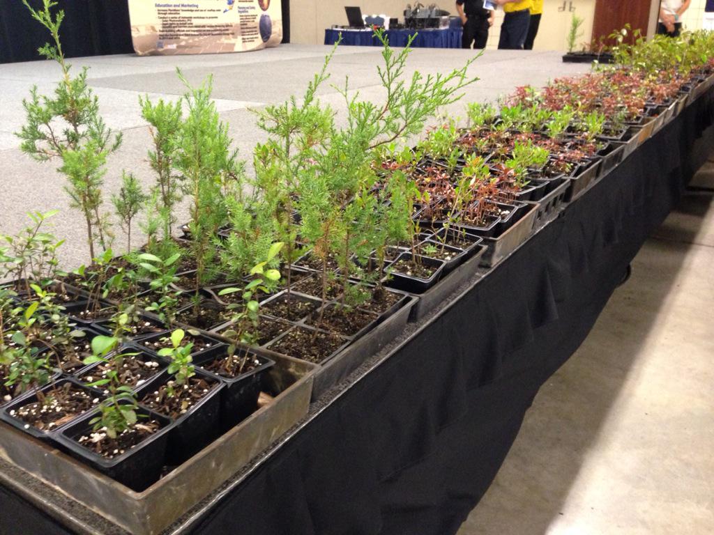 MiamiUrbanHort's tweet photo. Learning about creating landscape biodiversity w/ Brighter Future Fnd's Sephanie Montalvo #GoSolarFest #freetrees http://t.co/EAlCD96wIv