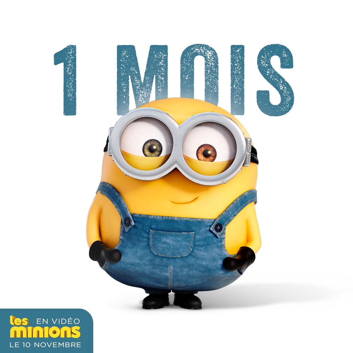 LesMinions tweet media