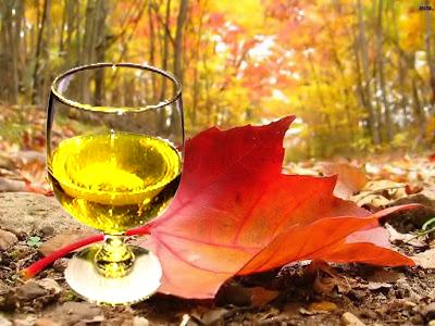 Om 16.30 de herfstborrel van Wijkraad Welgelegen. Zie: bit.ly/1G0I0bq