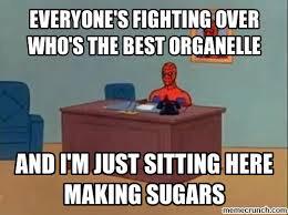 blastoftheplast's tweet photo. #OrganelleWars http://t.co/ZrdyCOblwp