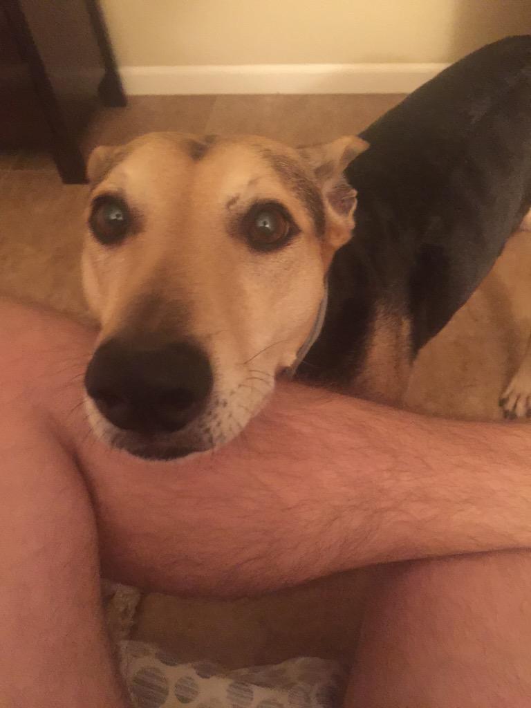 Colton Schubert tweet media