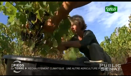 publicsenat's tweet image. [REPLAY] Les pieds sur terre s’intéresse au protoxyde d'azote, émission à (re)voir ici: bit.ly/1R2hN29 #LPST