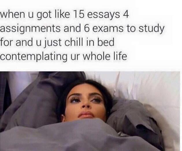 Advice Mallard tweet media