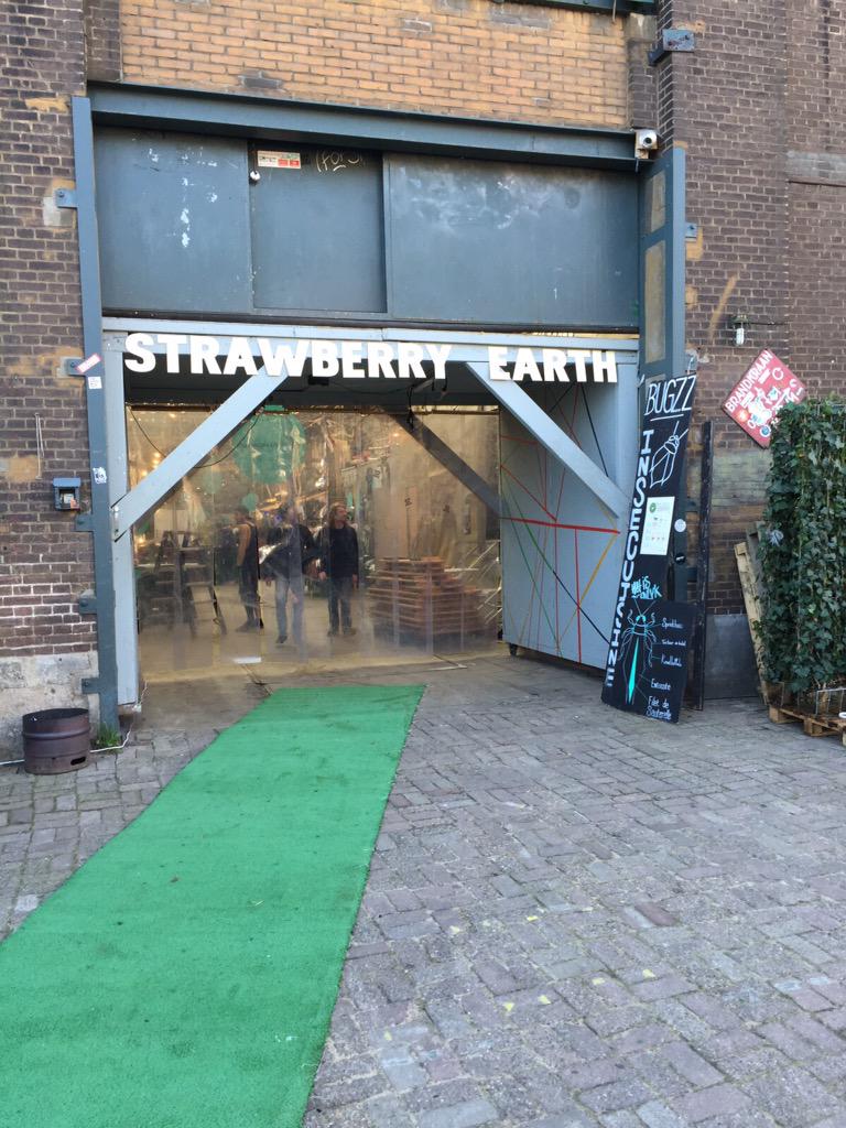 CoverupLabel's tweet image. Strawberryearth volop aan het opbouwen. Zonnetje schijnt, alles is groen!