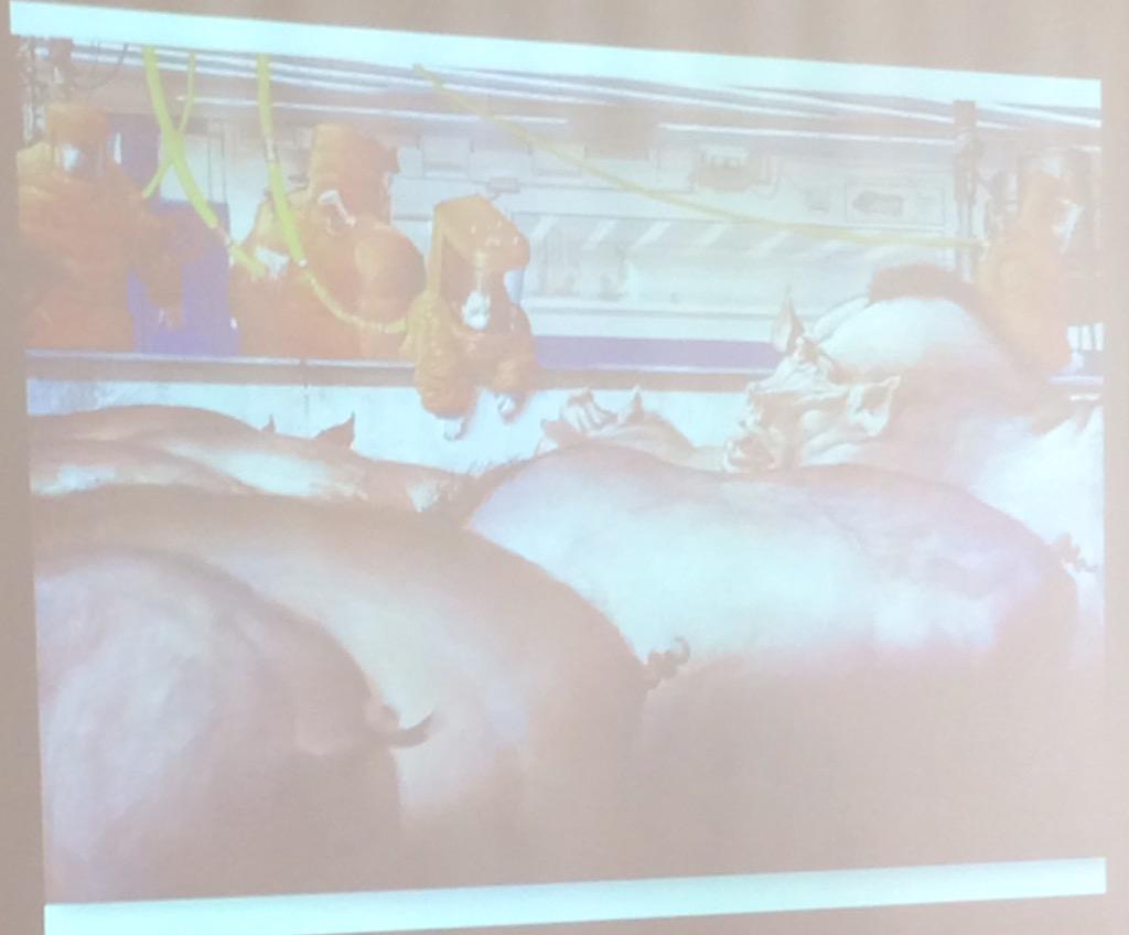SustainableRich's tweet photo. Kathryn Halliday at #BASN conference at @CardiffCPLAN now talking about animal and nonhuman victims in fiction http://t.co/IK8ni88KMG