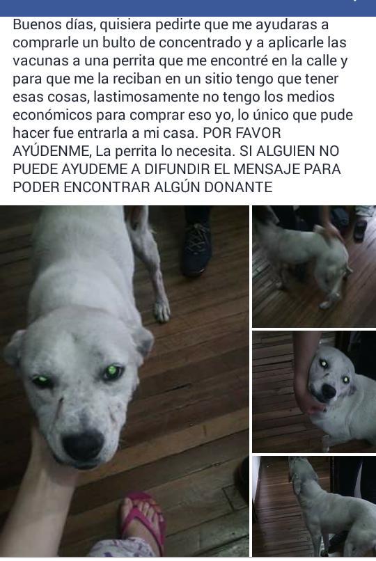 VaneDuero's tweet photo. Por favor ayúdenme con un RT,sí alguien desear ayudar con la causa por favor comunicarse al 3138446443-Valeria. http://t.co/neXP1bqCfN