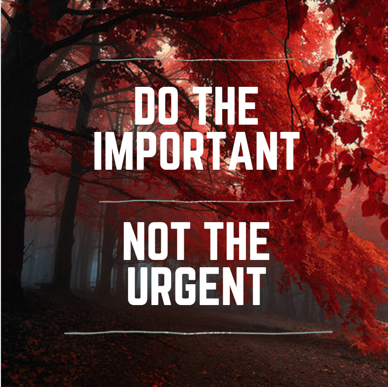 Christian Baum (@achristianbaum) on Twitter photo 