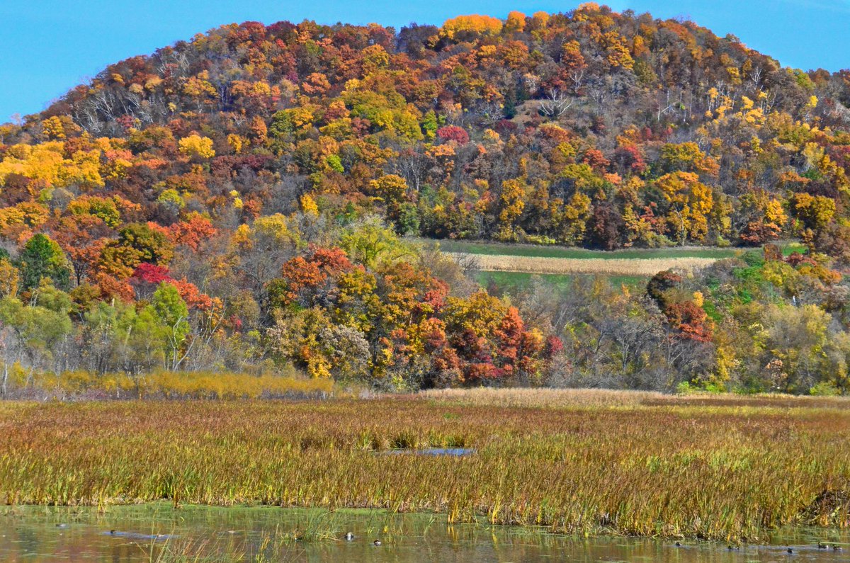 WellPlanTravel's tweet image. Photo of the day: Fall on the Mississippi Great River Road Minnesota wellplannedtravel.net/photo-fall-gre… #potd #travel #Minnesota