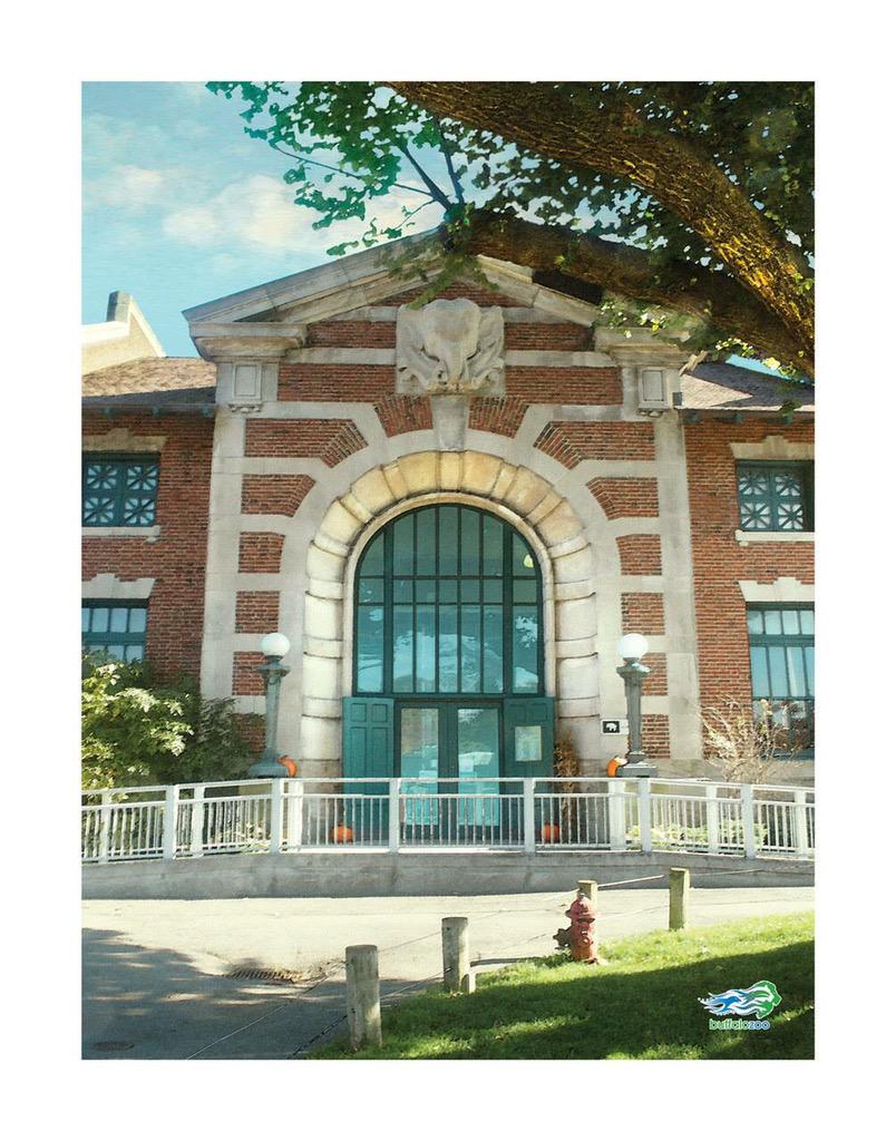 BuffTreasures's tweet image. @buffalozoo @am_buffalo #Zootastic Day!