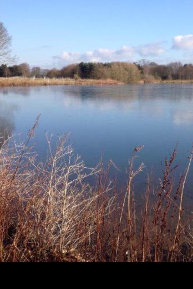 SBR Events tweet media