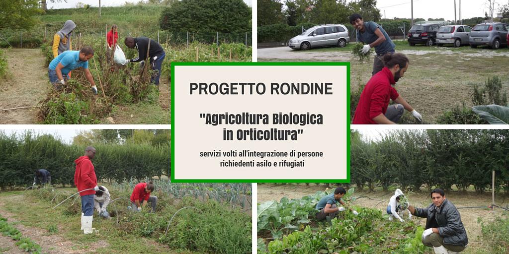 Coislha scs (@coislha_scs) on Twitter photo 