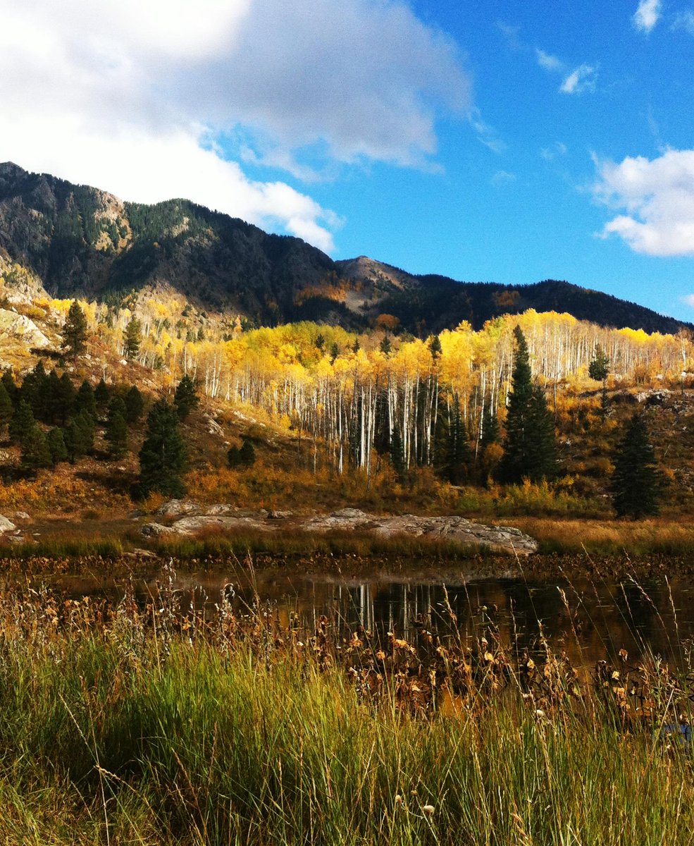 DgoTrails's tweet photo. Your mountain is waiting. So…get on your way! ~ Dr. Seuss #TrailsofGold #HappyTrailsFriday @VisitDurango #Trails2000 http://t.co/OayCtAxK9J