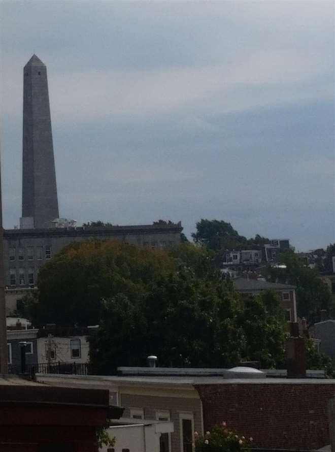 cjackson12's tweet photo. Little foliage sighting in Ctown #WCFall. Something Fun @wellcoin 10 WC. http://t.co/drt7385b33