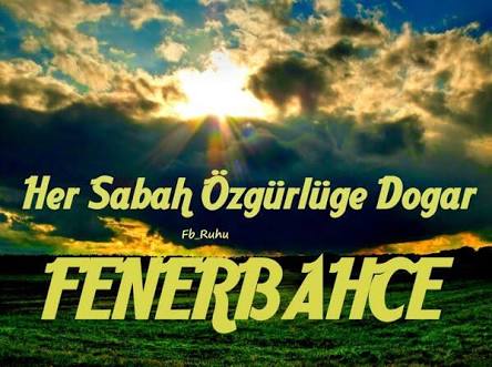 seyahatname1611's tweet photo. 3 Temmuz'dan bu yana
haklılığı ve masumiyeti uğruna 
mücadele eden 
tüm camiamızın gözü aydın.... http://t.co/7sb5JwtbrH