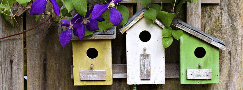 GoQcrazy's tweet image. $5 OFF at Backyard Birds with our free #Qcrazy app. Download it today for Charlotte coupons! qcrazy.com/coupons/4640