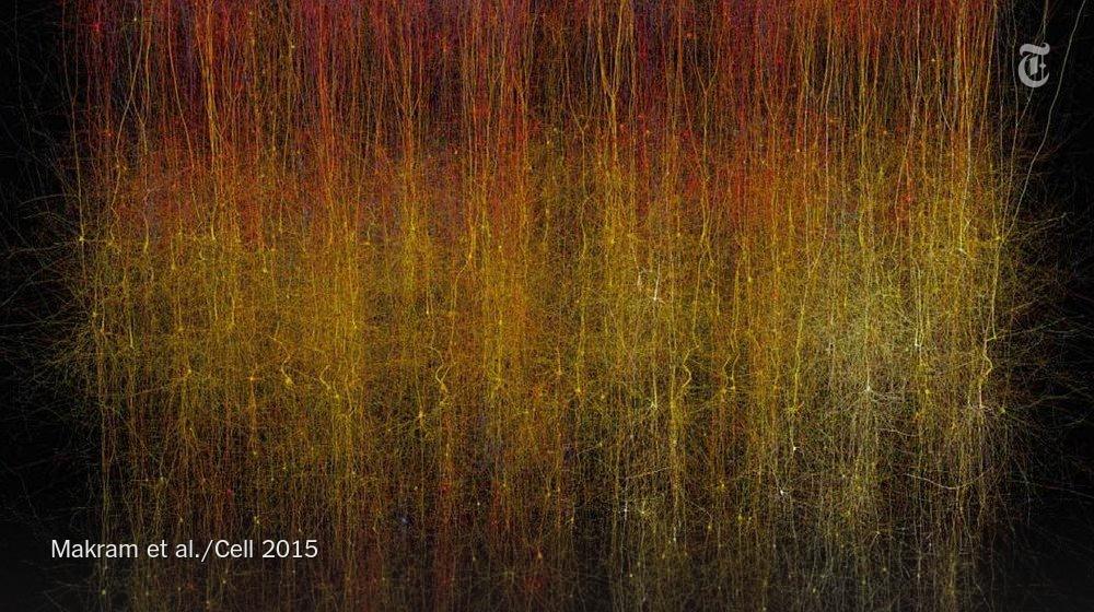 Researchers say they've built part of a section of a rat brain in a computer nyti.ms/1R2mrxd