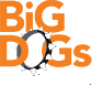 WAVonline's tweet photo. Make sure to stop by the WAV booth @ruckuswireless #BigDogsHouston to learn more about our engineering capabilities! http://t.co/7Xy4OhRygf