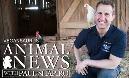 What happened this week in the #vegan food world? My short roundup: vegansaurus.com/post/130814070… (<a href="/vegansaurus/">vegansaurus</a>)