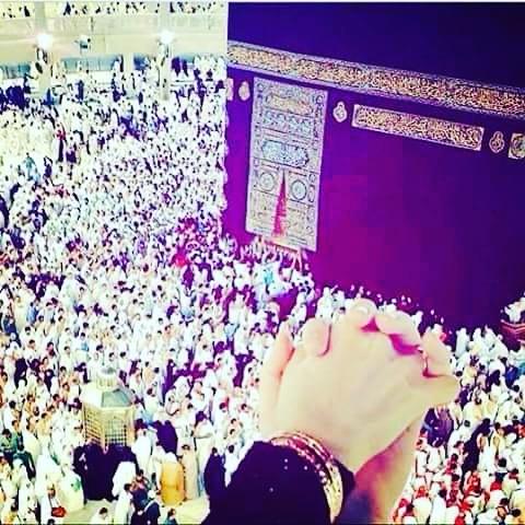 UkhtekSarah's tweet photo. Je rêve que tu sois mon Aladin et moi ta Jasmine, mais je veillerai à ce que ce soit dans les règles du Dine.💍💍 💕🙏 http://t.co/Hz3bfEGYbt