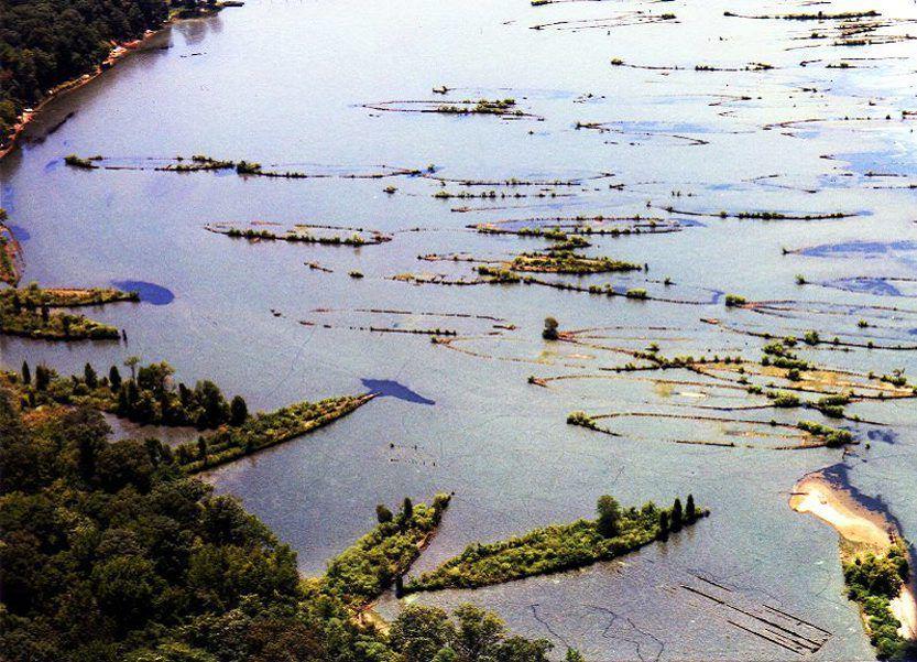 ゆきまさかずよし V Tvittere スミソニアン 15年ぶりの海洋保護区登録はチェサピーク湾とミシガン湖の一部 Http T Co 2i0mjdwosu 南北戦争 Wwiの船の墓場の歴史的価値 廃船を島にして樹木生い茂ってる風景が凄くいいなこれ マローズ湾 Http T Co O4ohsdtudx