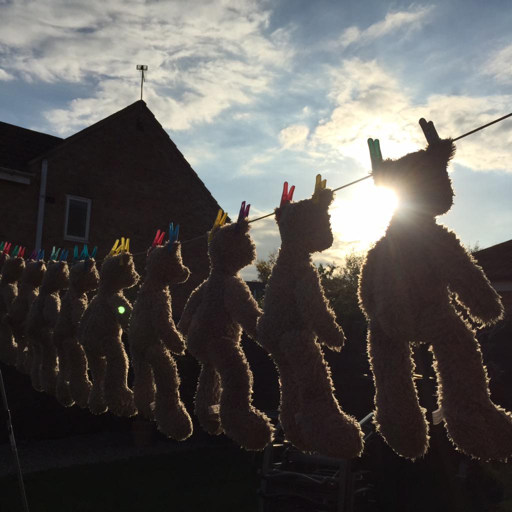 PloughInnYork's tweet photo. This is the life...hot-tub then spot of sunbathing!🐻
#pub #fulford #york #teddybearday http://t.co/GH56XL1A37