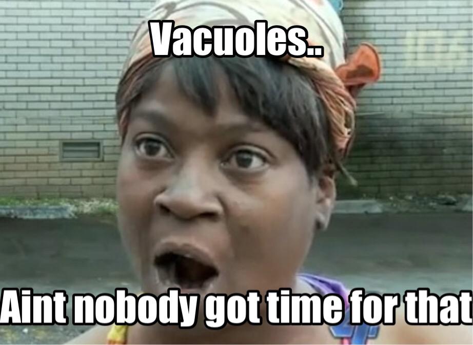 Smooth_ER180's tweet photo. #OrganelleWars http://t.co/gytQoxGEaD