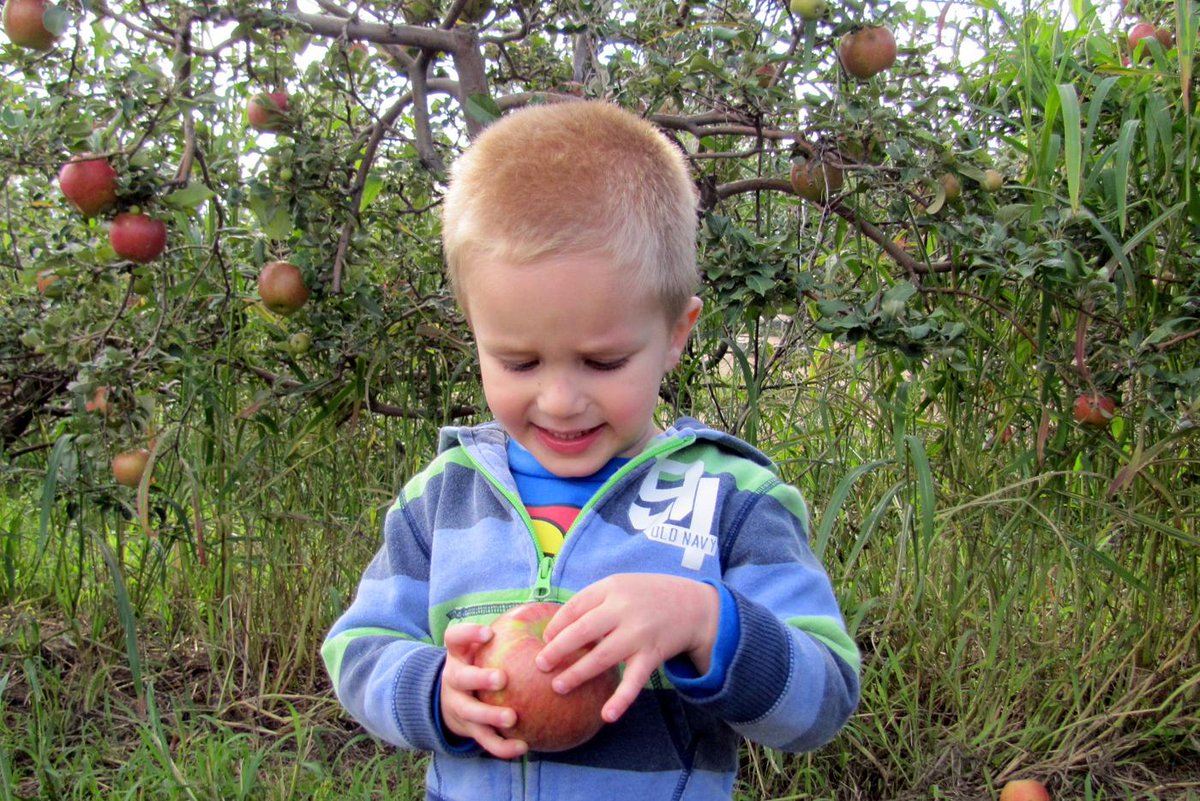 visithastingsmn's tweet photo. St.Croix Apple Festival at local orchards this weekend! http://t.co/MHUjEXlVBx;
http://t.co/j0QeqJXRks http://t.co/EAe1zpcn1z
