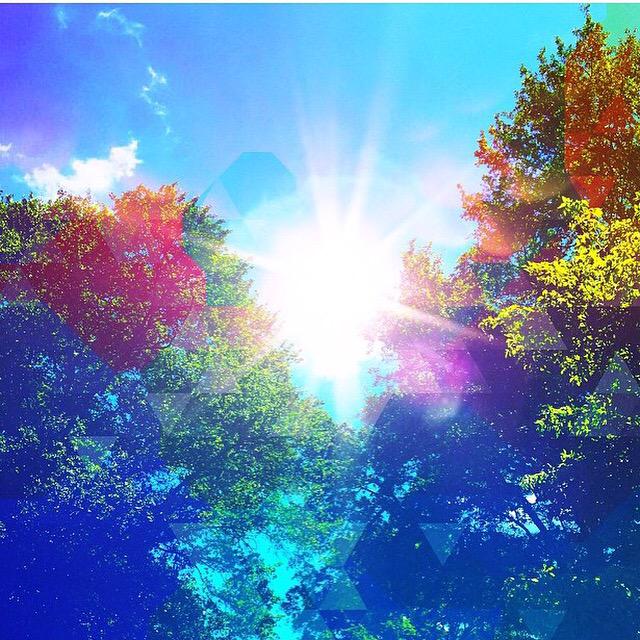 PrettyLights's tweet image. bursting with color ❤️💛💚💙💜 #PLPix via @yungnicka4