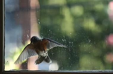 BeerFinderGen's tweet image. @geordiemanc70 @SQUAWKBrewingCo @IndyManBeerCon I believe this may have been 1 of you Squawkers earlier? #brainbash