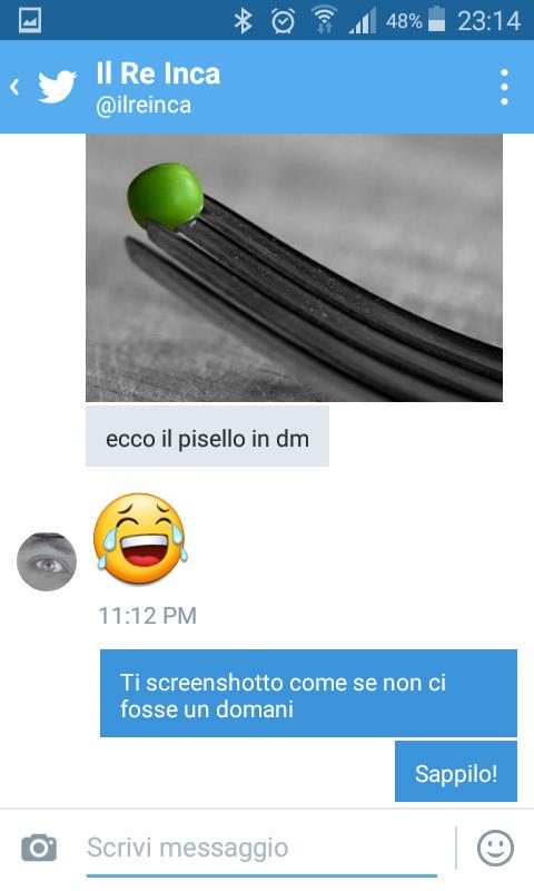 Ecco sono una tuitstar anch'io... c'ho i dm porni che emozione!