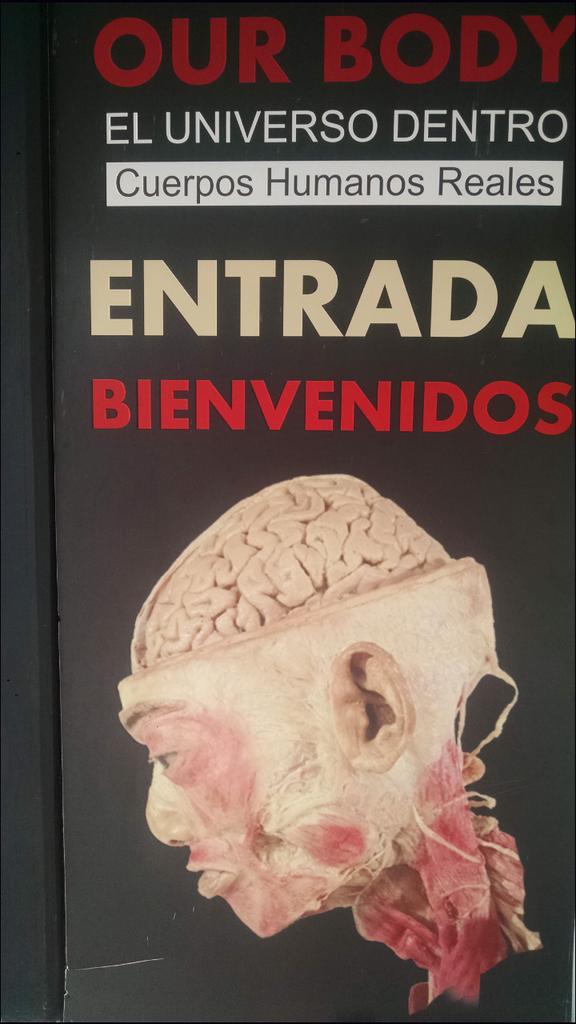 ImTiberius's tweet photo. #expoourbody somos una máquina perfecta, http://t.co/66ngmTfdSr