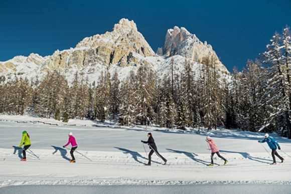 Lungo i binari della vecchia ferrovia si trova un percorso dedicato a tutti gli sportivi! expoveneto.it/it/22765/la-lu…