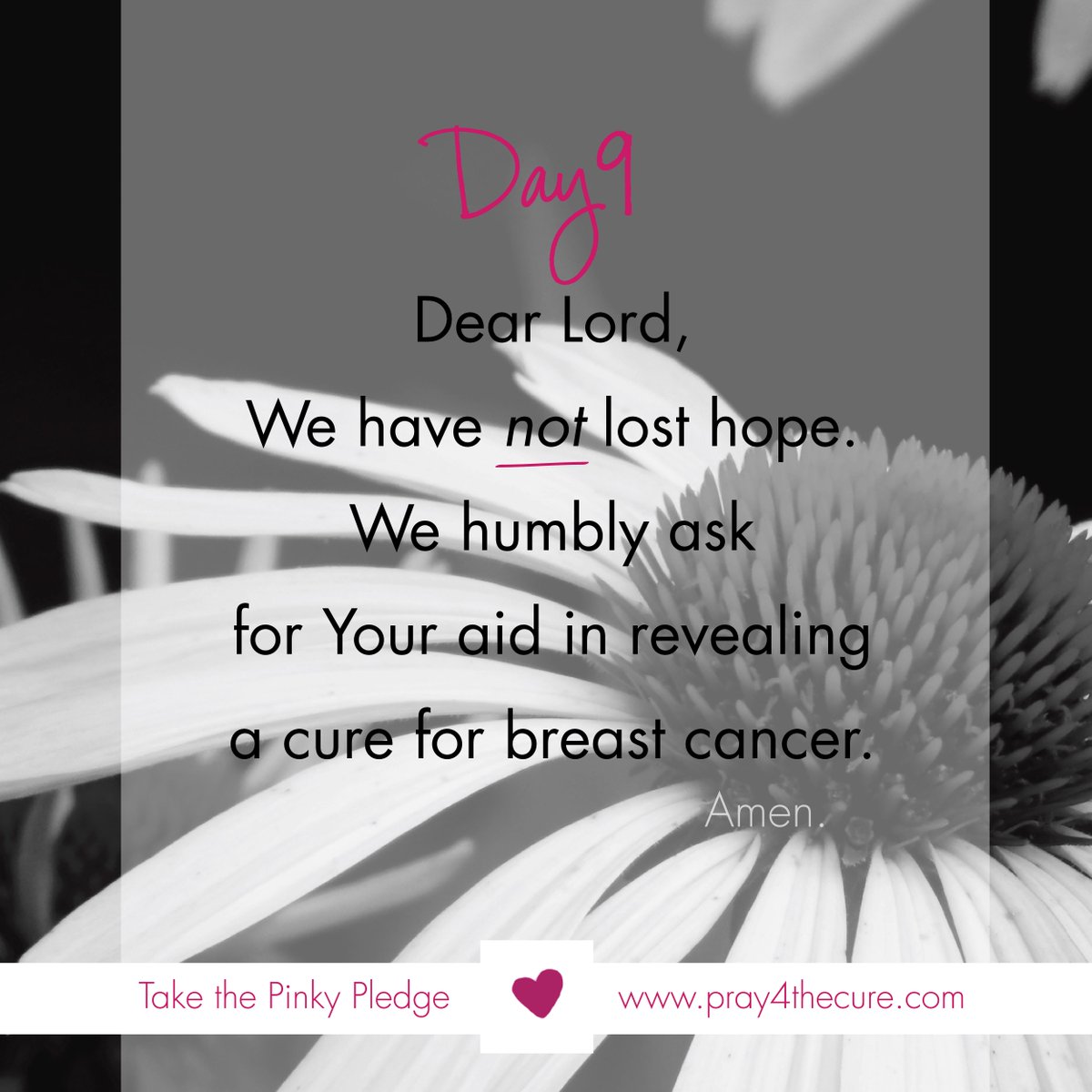 Let's remain humble and hopeful as we #pray4thecure. #breastcancer pray4thecure.com